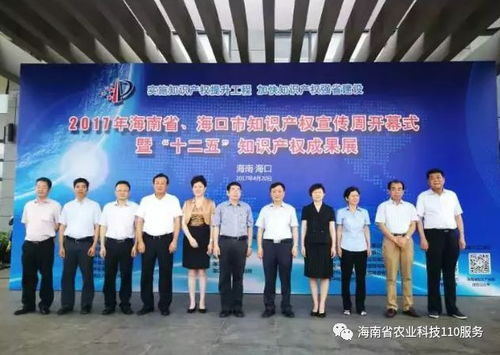 2017年海南省知识产权十大社会关注热点 聚焦服务创新与产业升级